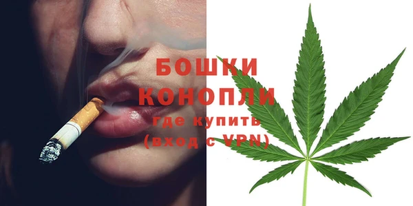 ешки Медногорск