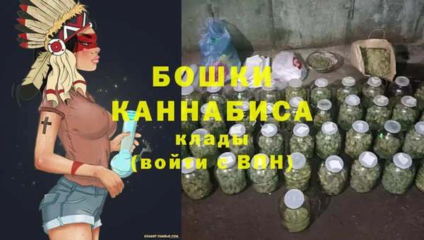 сатива Магас