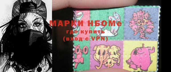 индика Сясьстрой