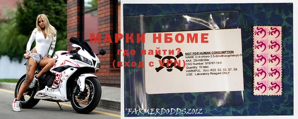 сатива Магас