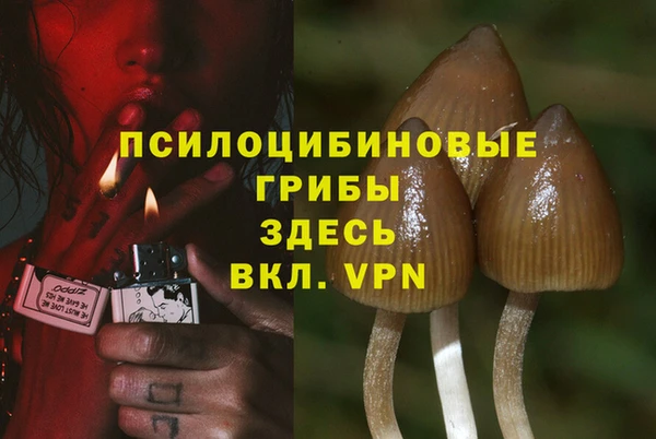 сатива Магас