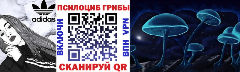 Псилоцибиновые грибы Psilocybe OMG ONION Углич
