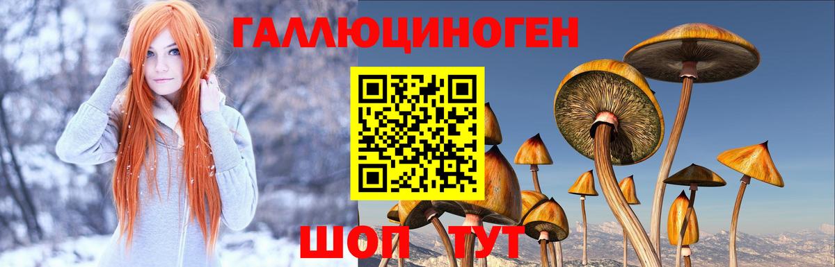 Псилоцибиновые грибы Magic Shrooms Углич